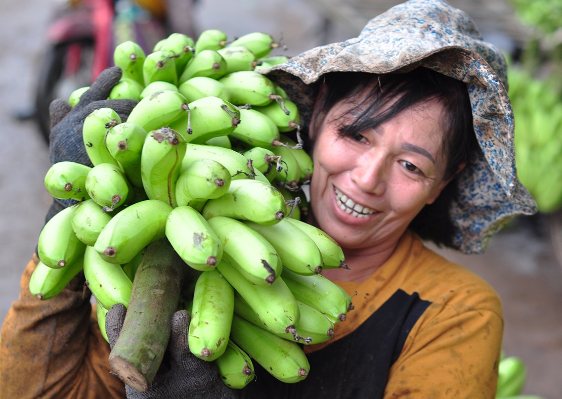 Chuoi nhinh gia, nong dan Dong Nai thoat lo hinh anh