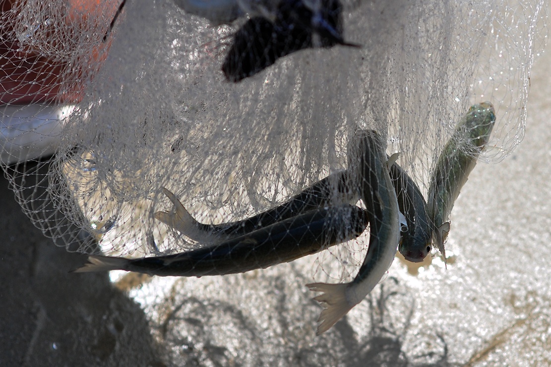 nem da xua ca vao bo anh 5