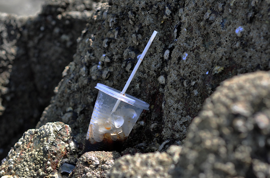 nem da xua ca vao bo anh 7