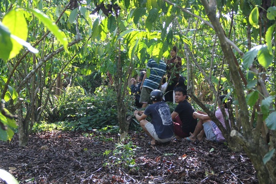 Phat hien thi the day mau trong vuon ca phe hinh anh