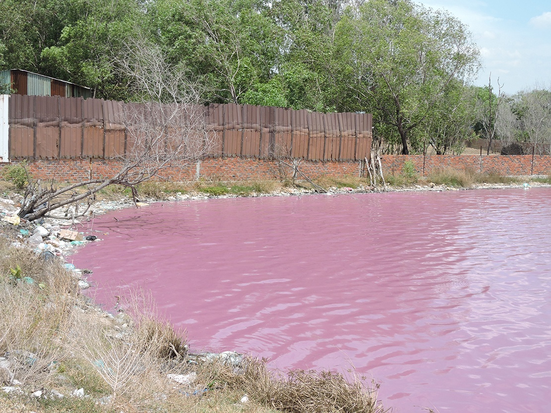 ho nuoc chuyen mau do anh 1