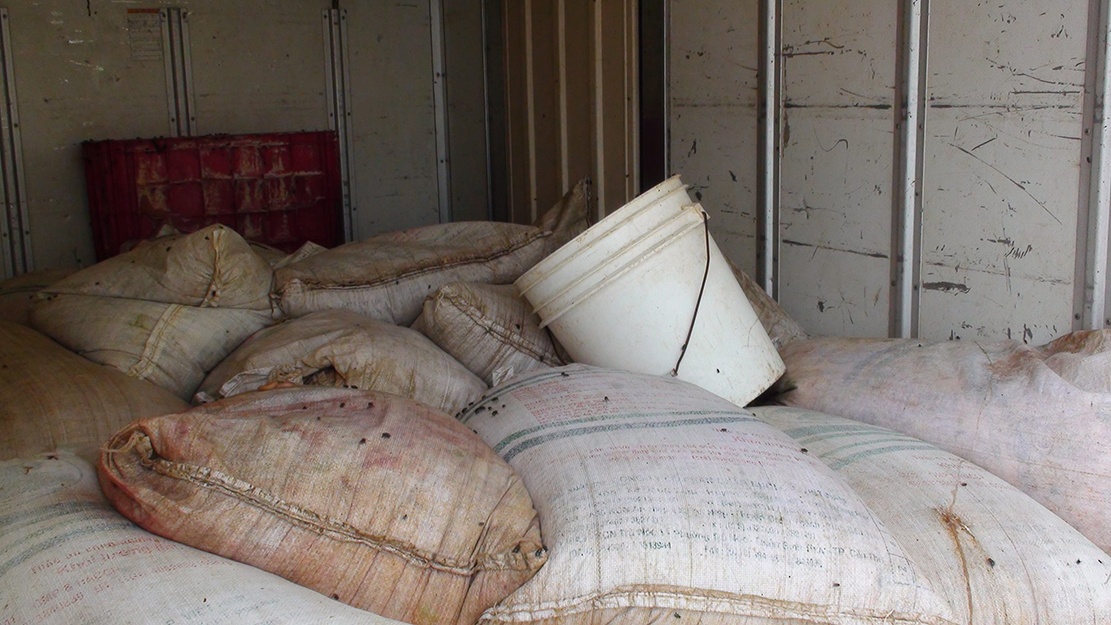 Nội tạng động vật ảnh 1 Noi tang dong vat anh 1