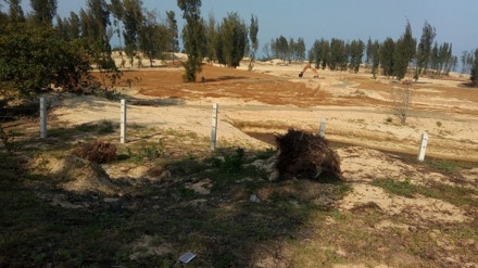 Phu Yen tam dung du an pha rung phong ho lam san golf hinh anh