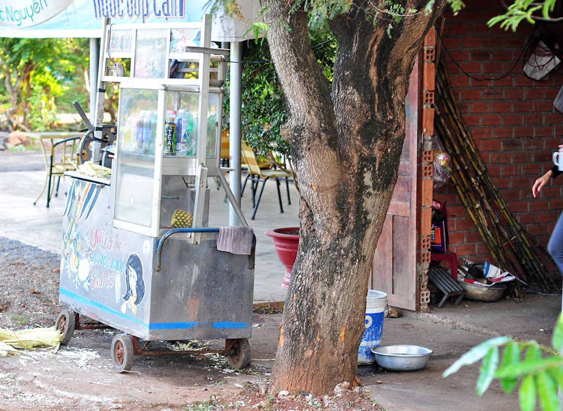 chu tic huyen lai BMW dam vao goc cay anh 1