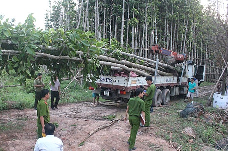 Tai xe lai xe cau gay mat dien 22 tinh khu vuc mien Nam lanh 5 nam tu hinh anh