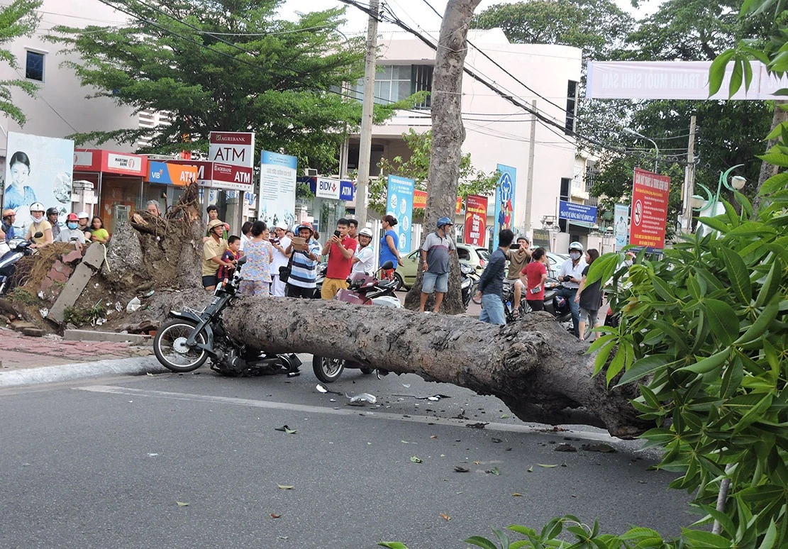 co thu do ap xuong duong anh 1