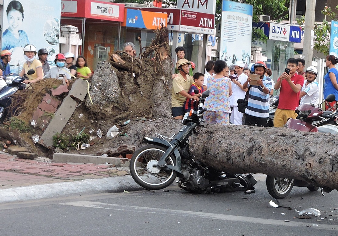 Nhieu nguoi thoat chet khi co thu do giua pho hinh anh