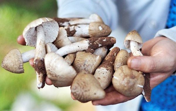 nam moi nua trieu dong moi kg anh 1