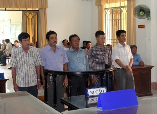 4 bao ve rung pha choi tom cua nguoi to 'cat tac' mang an treo hinh anh