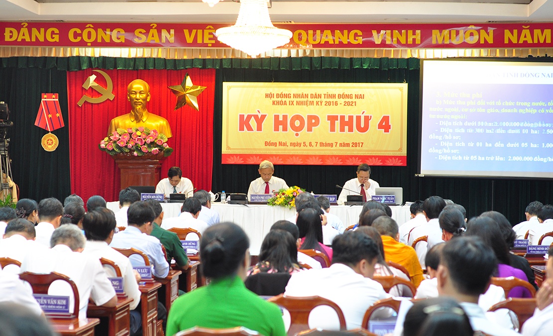 bi thu Dong Nai noi khong biet ba Thanh sai pham anh 2
