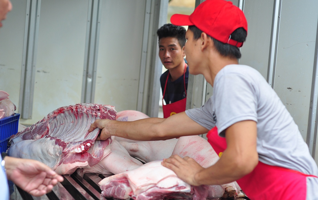 Bi thu Dong Nai: Dung chat cam trong chan nuoi la dau doc dong loai hinh anh