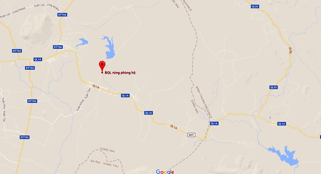 Hang tram cay go o lam truong bi dau doc anh 13