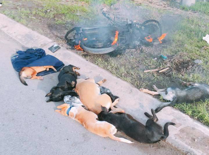 nghi can trom cho bi danh anh 1