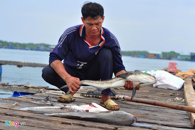 ngu dan kien doanh nghiep xa thai anh 1
