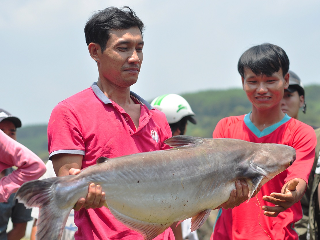 Tranh nhau bat ca 'khung' o chan dap thuy dien hinh anh