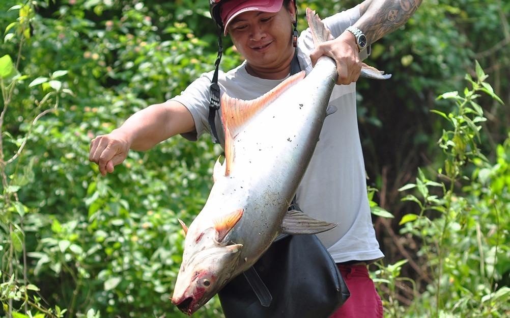 Nguoi dan do xo ve chan dap thuy dien bat ca 'khung' hinh anh