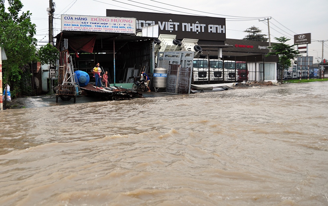 quoc lo ngap sau trong nuoc anh 3