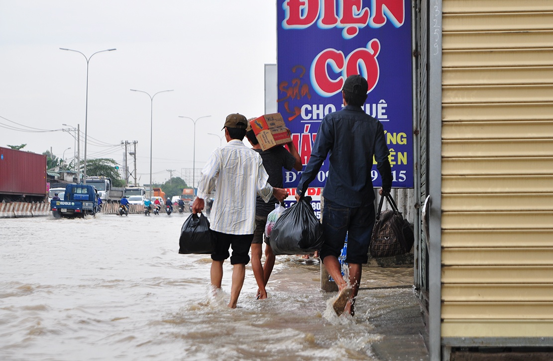 quoc lo ngap sau trong nuoc anh 8