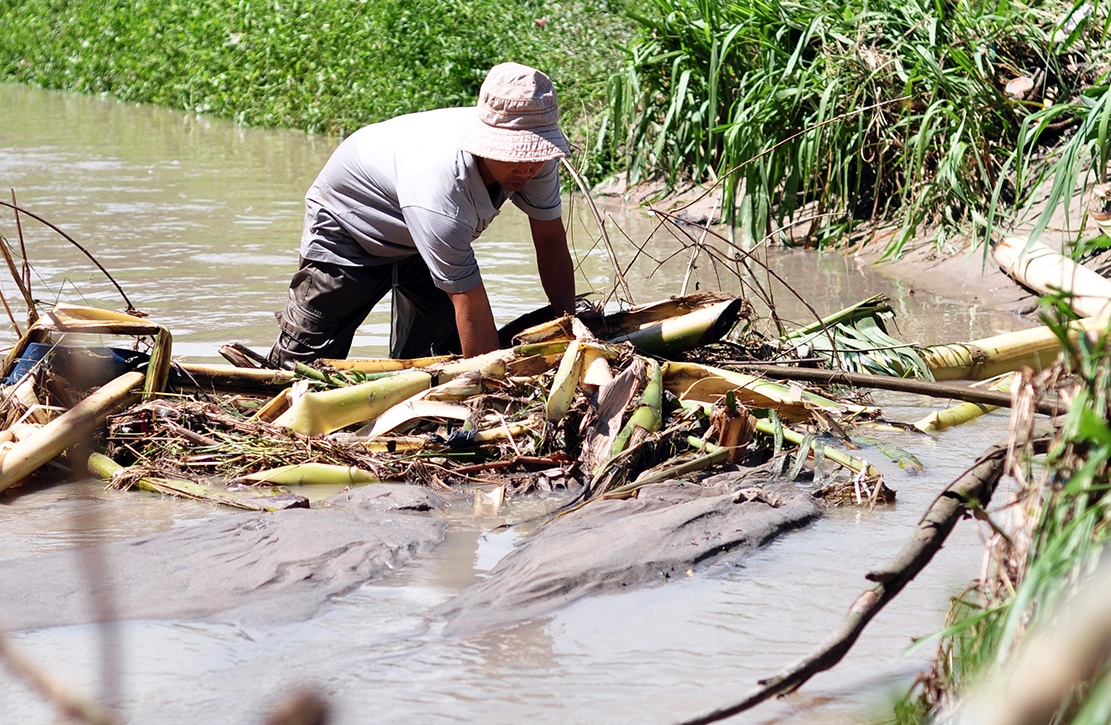 nguoi nhai lan cong thai tim be trai anh 4