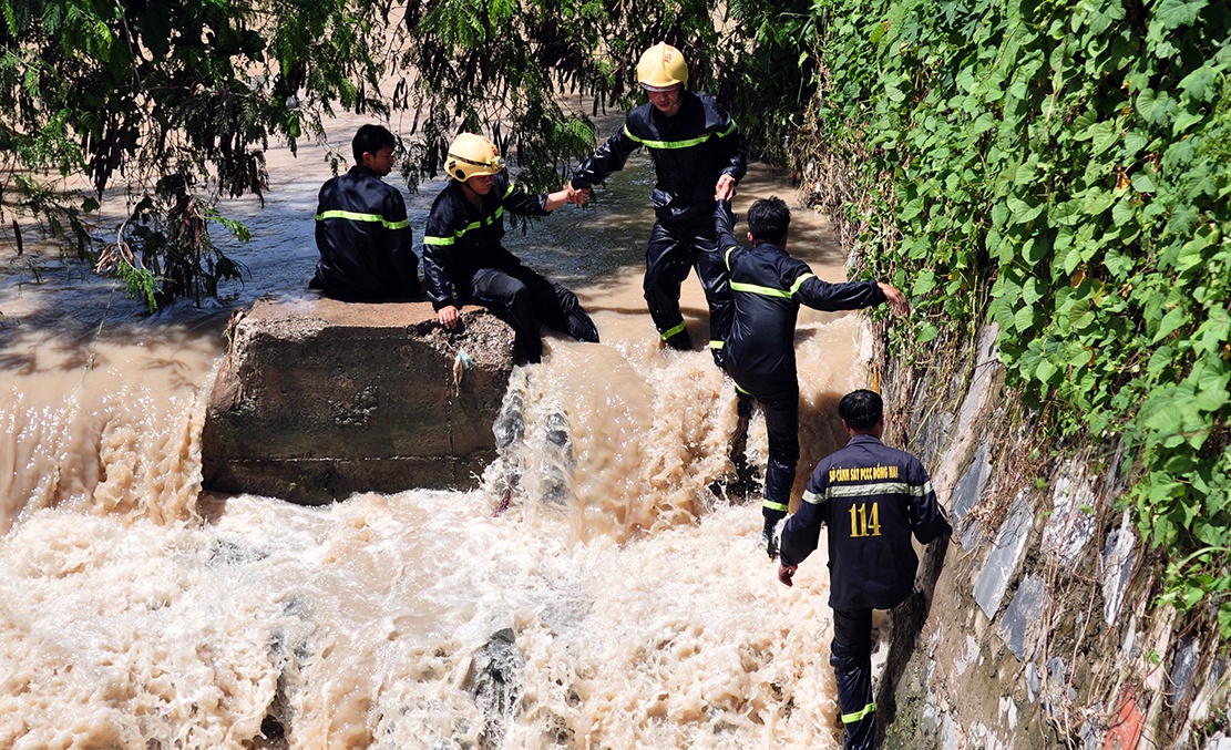 nguoi nhai lan cong thai tim be trai anh 6