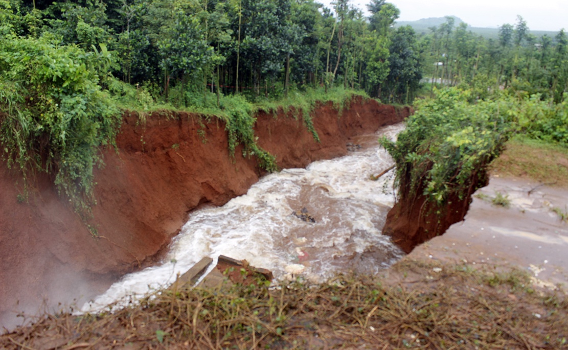 vo de o vung tau anh 1