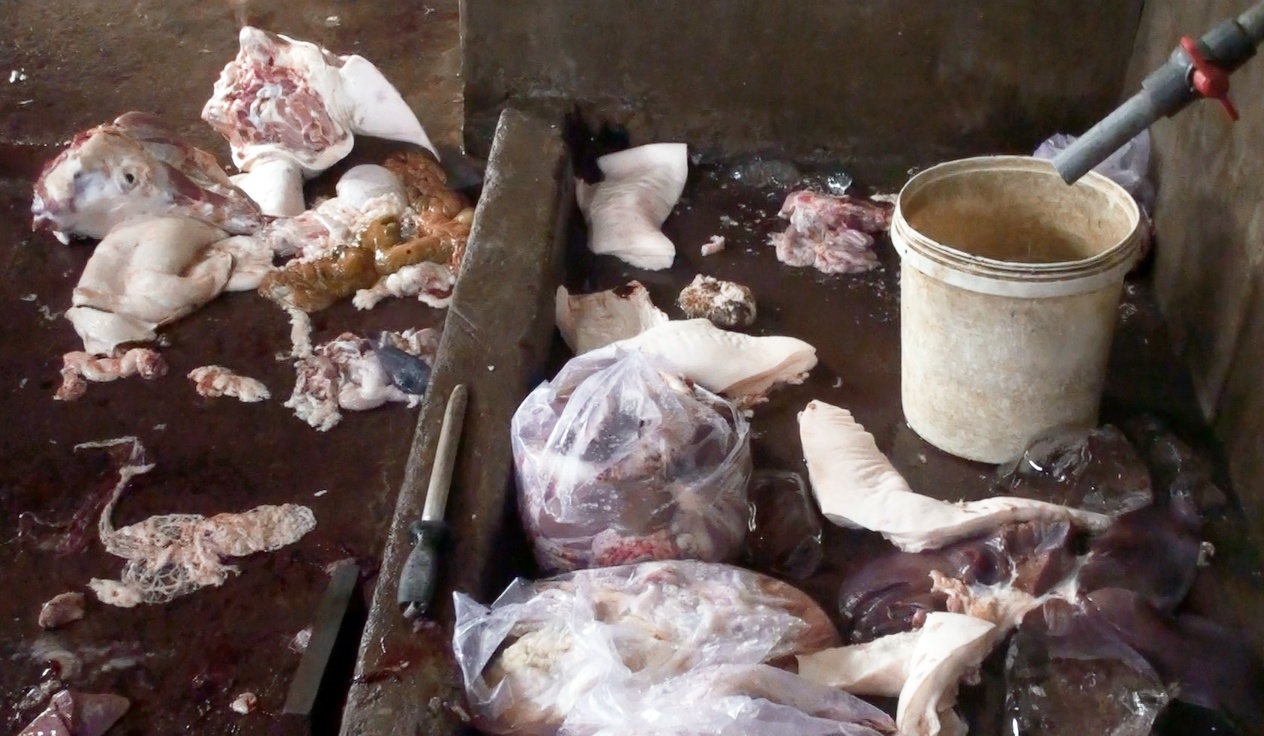 xẻ thịt heo bệnh đem bán ảnh 1 xe thit heo benh dem ban anh 1