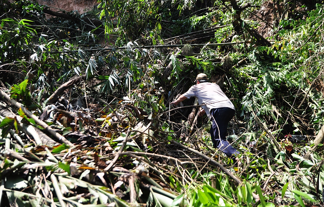 song nom nop trong nhung can nha tren bo sat lo anh 2