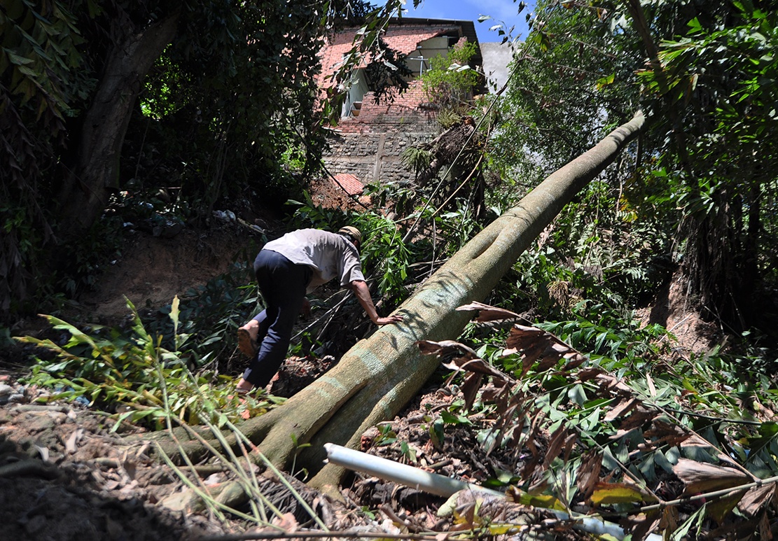 song nom nop trong nhung can nha tren bo sat lo anh 10