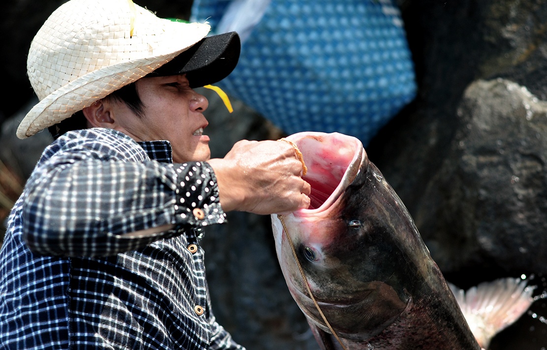 Tranh nhau bat ca 'khung' duoi chan dap thuy dien Tri An hinh anh