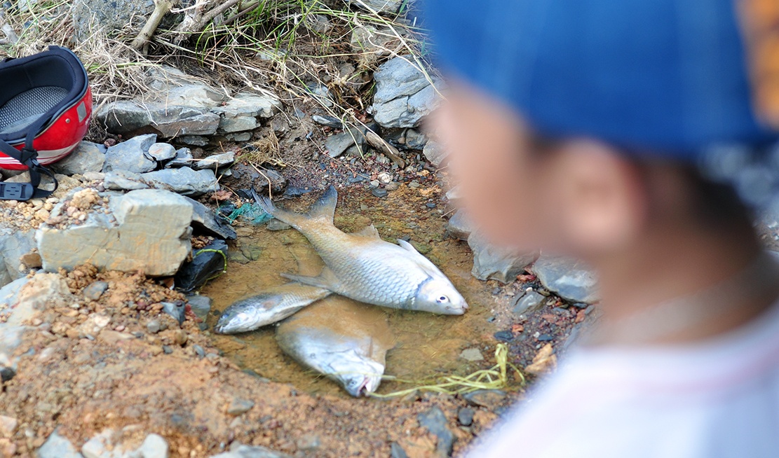 dung kich dien bat ca khung anh 11