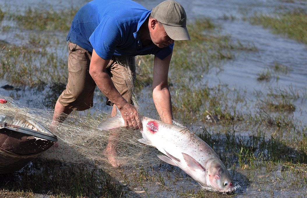 dung kich dien bat ca khung anh 7