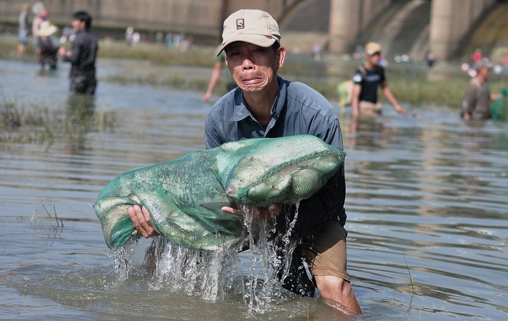 dung kich dien bat ca khung anh 5