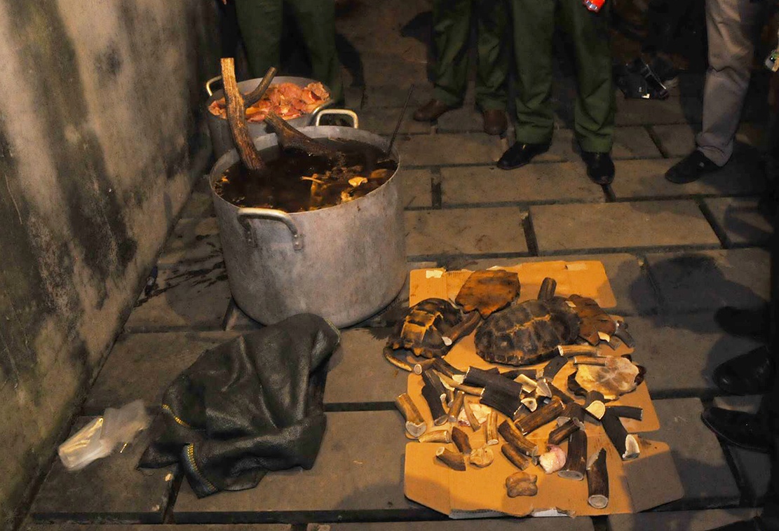 Nấu cao hổ ảnh 1 Nau cao ho anh 1