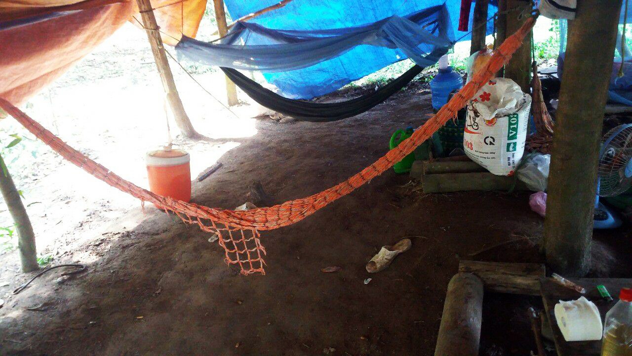 Dung dao nhon sat hai anh re vi bi chui mang hinh anh