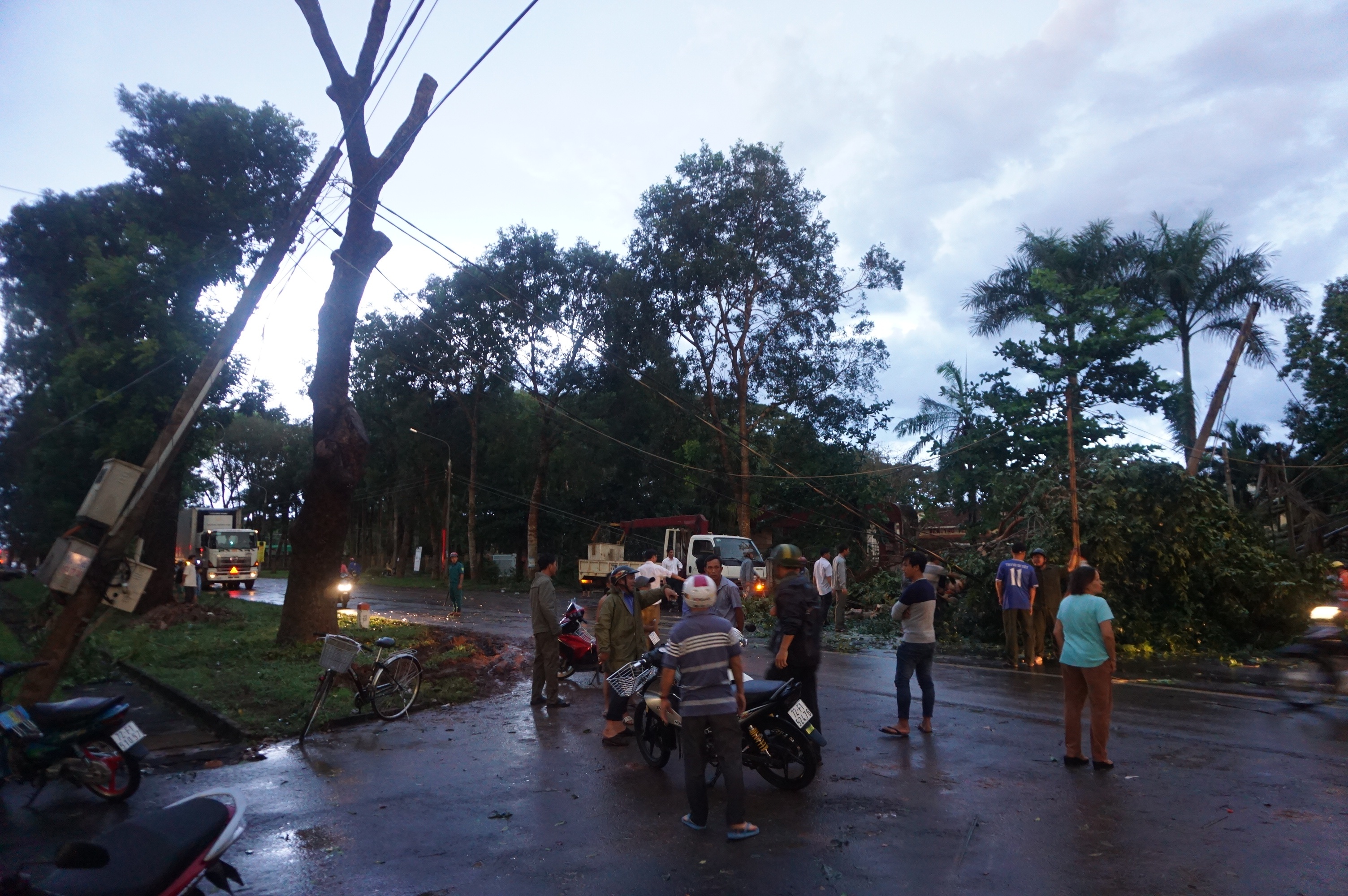 co thu de xe oto anh 1