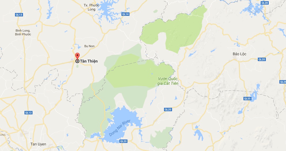 dua ga chet di tieu thu anh 2