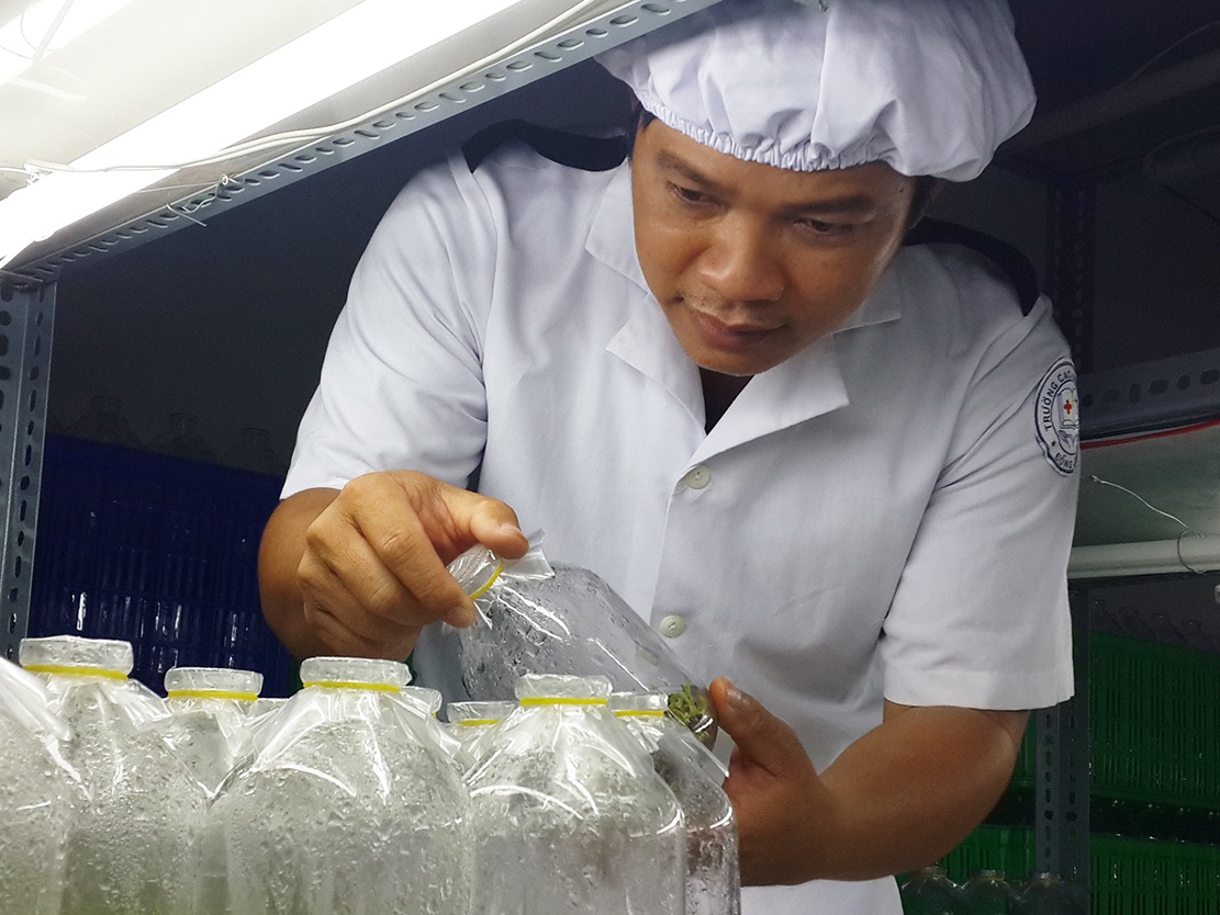 thạc sĩ trồng chuối ảnh 2 thac si trong chuoi anh 2