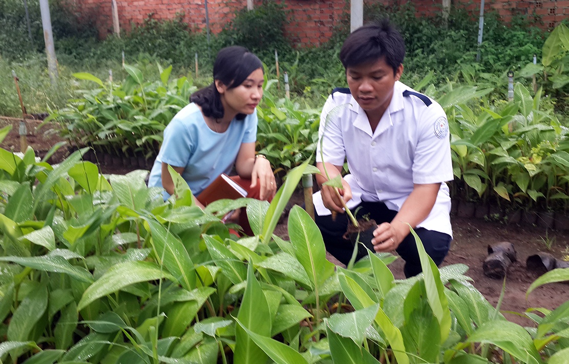 thạc sĩ trồng chuối ảnh 1 thac si trong chuoi anh 1