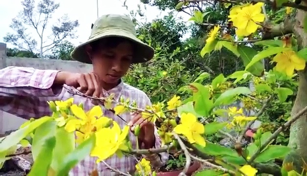 Nguoi trong mai Dong Nai mat Tet hinh anh