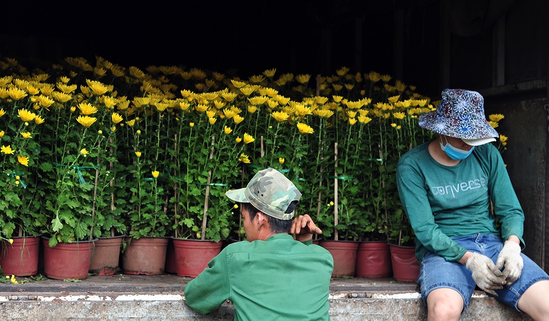 vac hoa thue kiem tien Tet anh 12