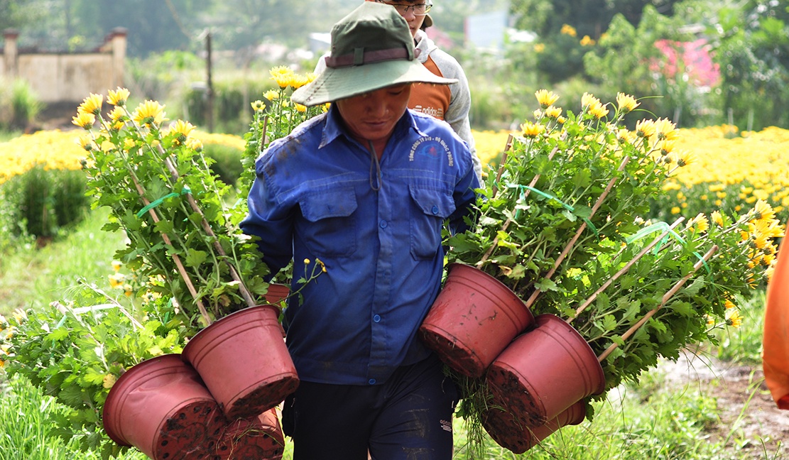 vac hoa thue kiem tien Tet anh 3