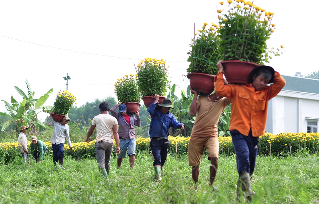 Ban suc lay tien tren dong hoa Tet hinh anh