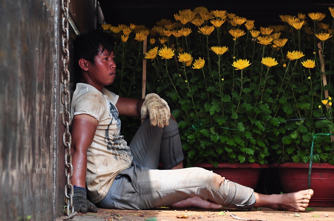 vac hoa thue kiem tien Tet anh 9