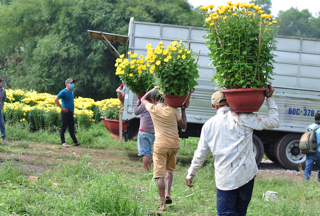 vac hoa thue kiem tien Tet anh 10