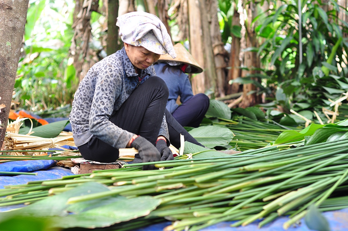 Lang la dong Gia Kiem tat bat thu hoach ban Tet hinh anh