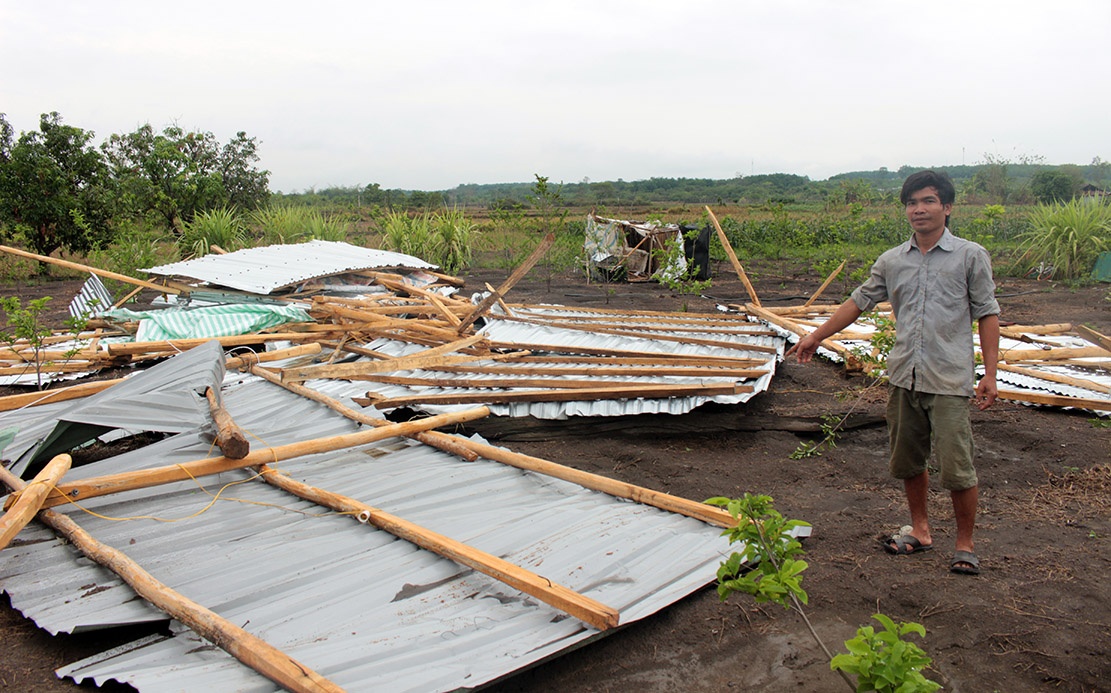 Loc xoay giat sap 18 can nha, gay thiet hai cho hang nghin ha nong san hinh anh