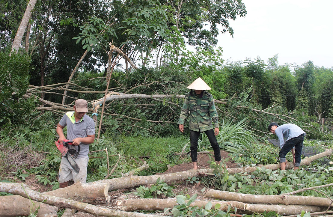 loc xoay cuon sap nha anh 1