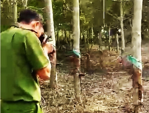 Niu keo tinh cam bat thanh, dot ray dieu cua nguoi tinh hinh anh