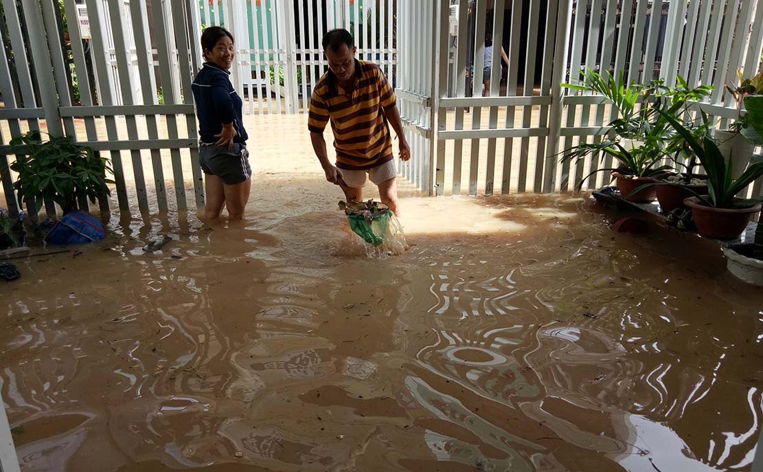 Dan Dong Nai vat va voi nuoc ngap day rac ban hinh anh