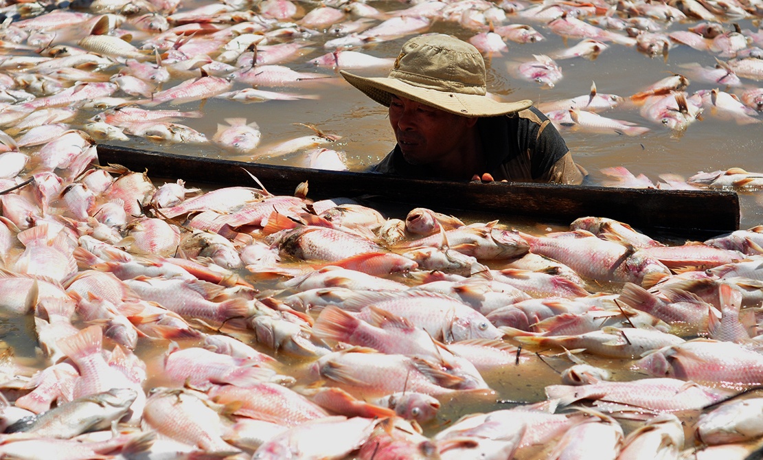 Ngu dan rot nuoc mat vot hang tram tan ca chet de u phan hinh anh